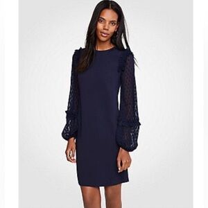 Size 4 Ann Taylor Knee Length Shift Dress - Sheer Polka Dot Sleeves Navy Blue
